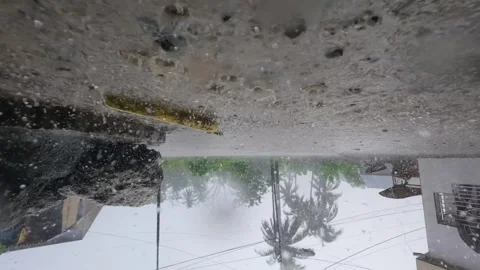 Slow Motion of Heavy Rain Falling on Tropical Street Video stock 312059335