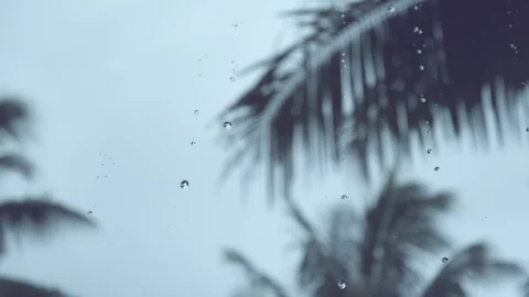 SLOW MOTION: Heavy rain washes the lush exotic vegetation close to empty beach. Stock Footage 90887718