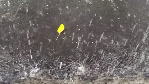Slow motion Heavy Rain on Wet Asphalt – Natural Rainy Realistic Weather Footage Stock Footage 316747096