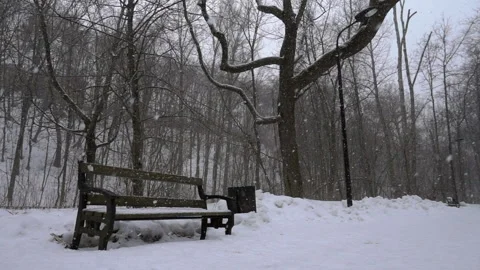 Slow motion of the heavy snowfall Video stock 231909334