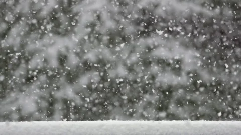 Slow motion heavy snowfall piles up on ledge with trees in background 動画素材 78452882