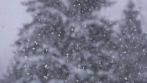 Slow motion heavy snowfall with snowy trees in background 動画素材 78452324