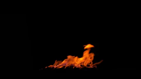 Slow motion High Quality Real Fire element. Ignition Burning and Dissipation. Video stock 142068580
