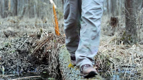 Slow motion of hiker passes through a stream on a log. Stock Footage 61528208