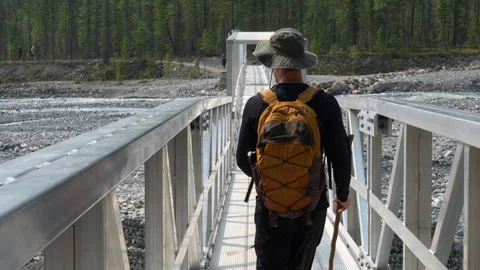 Slow-Motion Hiker Walking Across Wooden Bridge on Berg Lake Trail Stock Footage 323325226