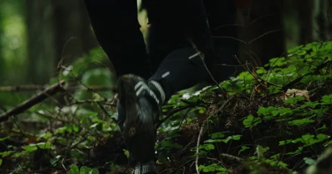 Slow motion hiking boots through ferns on the forest floor 스톡 동영상 64324596