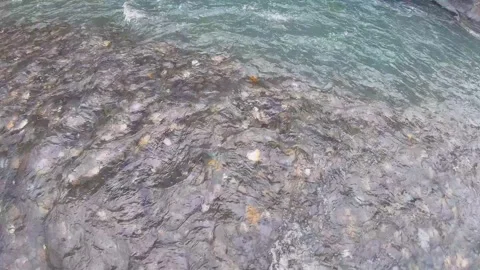 Slow motion horizontal pane view look around of flowing river water standing in  Stock-Footage 266502214