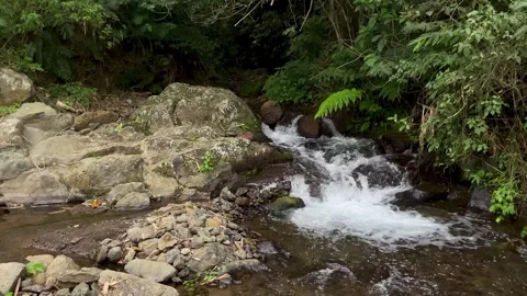 Slow motion horizontal shot of a clear river stream in Bali Stock Footage 338286947