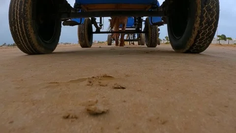 Slow motion of horse pulling blue carriage along desert Stock Footage 279873619
