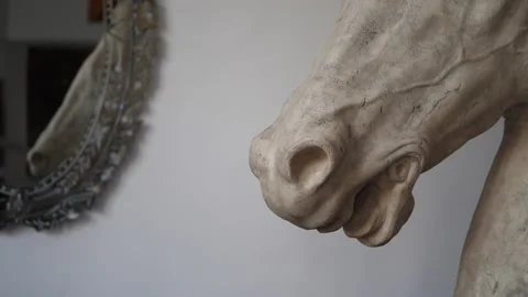 Slow Motion Horse Statue Stock Footage 157501340