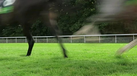 Slow motion of horserace Stock Footage 53580416