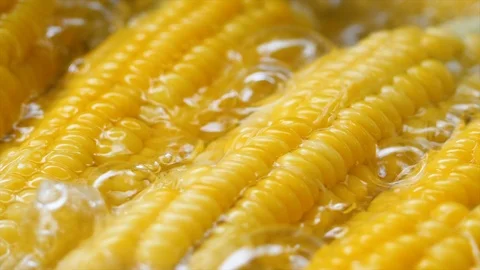 Slow motion hot boiling fresh and ripe sweet corn Stock Footage 95020288