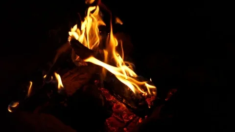 Slow motion hot campfire flames in the evening in desert static shot Stock Footage 75770605