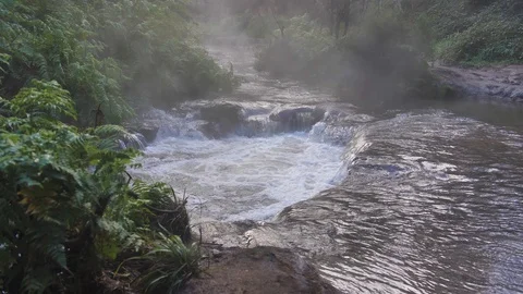 Slow motion - hot spring stream, Rotorua, New Zealand Stock Footage 96023088