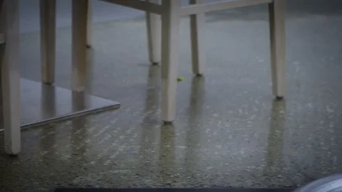 Slow motion the house mouse running around furniture of kitchen inside house-Dan Stock Footage 73927294