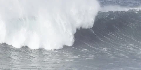 Slow motion of huge ocean wave crashing back into surface in front of seagull Stock Footage 163340795