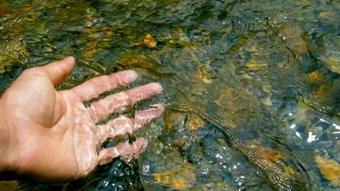Slow motion human hand grabbing water environment. stream, clean, World water Stock Footage 270466939