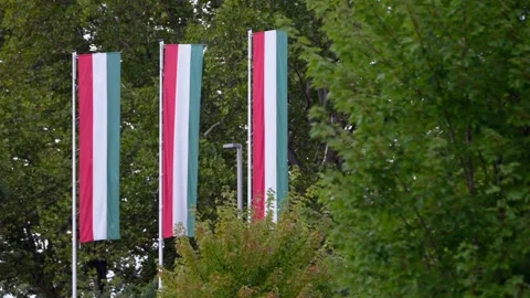 Slow motion of Hungarian flag behind leaves in Budapest, serene scene Stock Footage 290477325