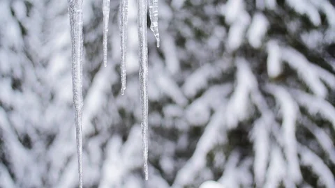 Slow Motion Of Icicles Melting In Spring Stock-Footage 85104175