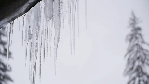 Slow Motion Icicles Taken Down Stock Footage 85104046