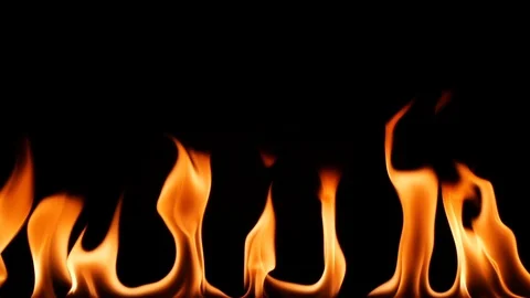 Slow motion igniting and burning line of real fire flame on black background Stock Footage 125560461