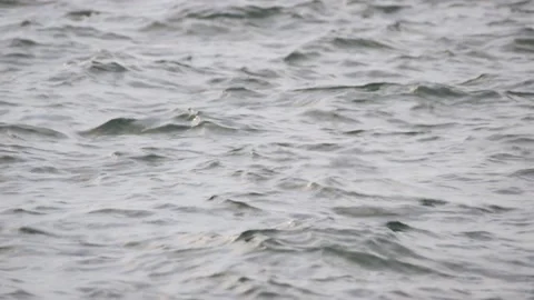 Slow-motion image of Adriatic sea water, Croatia. Stock Footage 149009643