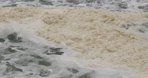 Slow Motion Image of Mucilage Stock Footage 332058209