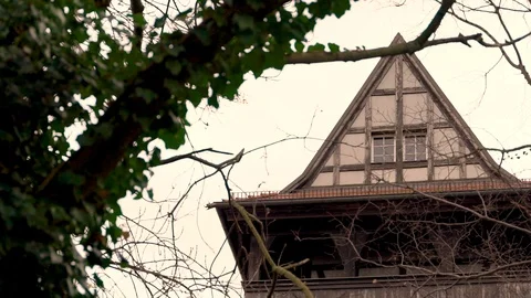 Slow-motion image of old tree in front of traditional house, Berlin, Germany. Stock Footage 127221031
