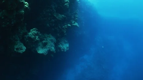 Slow motion images of underwater landscapes with fish, corals, flora and fauna Stock Footage 124982553