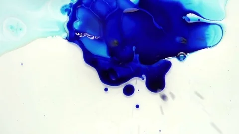 Slow motion ink drop and bleed on white Stock Footage 72477802