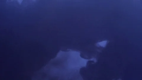 SLOW MOTION INK DROP STOCK FOOTAGE 14 스톡 동영상 72244994