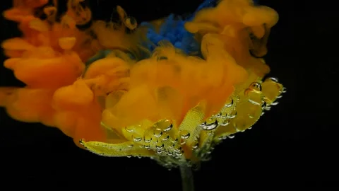 Slow motion ink paint flowing in water near yellow flower on black background. Stock Footage 143334754