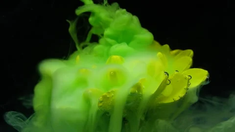 Slow motion ink paint flowing in water near yellow flower on black background. Stock Footage 145047710