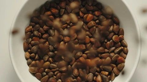SLOW MOTION: Inshell pine nuts falling into a white bowl - Top View Vídeo Stock 100430321