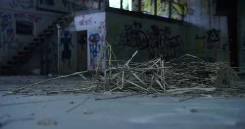 Slow motion inside abandoned building in woods covered in graffiti  Stock Footage 146278847