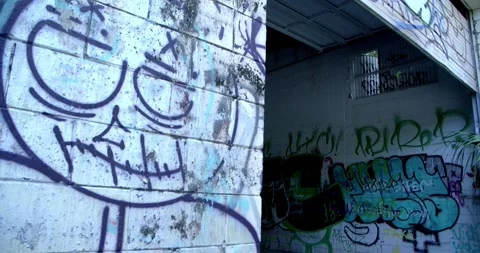 Slow motion inside and out abandoned building in woods covered in graffiti Stock Footage 146278838