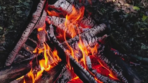Slow Motion Intense Campfire Flames Video stock 342162153