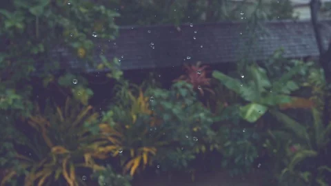 SLOW MOTION: Intense rainfall washes black roof surrounded by tropical plants. Stock Footage 90888304