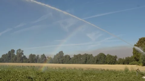 Slow motion of irrigation system Stock Footage 125072429