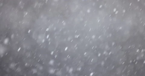 Slow-motion It's snowing. daytime video. Stockbeeldmateriaal 167522867