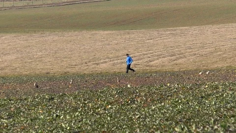Slow-motion: Jogger running through a field, flock of birds flying by, winter Stock Footage 103421007