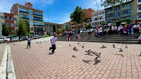 Slow motion Kids Chasing Pigeons 库存影片 160835128