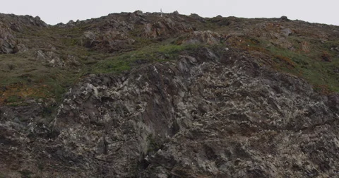 Slow Motion - Kittiwakes Soaring in Front of Bird Cliff Stock Footage 54263392
