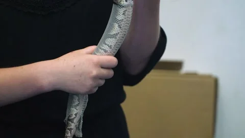 Slow Motion of a lady holding a snake as she helps it shed its skin Stock Footage 201226780