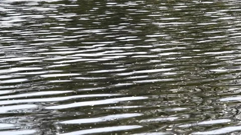 Slow Motion Lake Waves Stock Footage 152805972