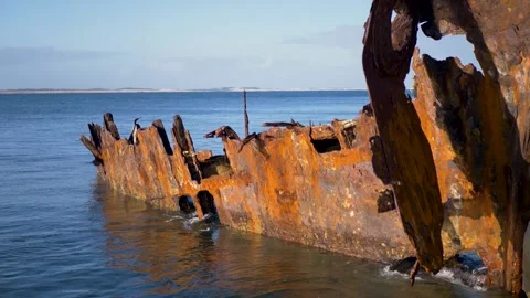 Slow motion landscape of a bird perched and ocean water flowing through rusted Vídeos de archivo 345888424