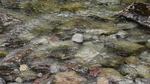 Slow motion of a large rock landing in a clear river Stock Footage 256606774