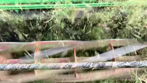 Slow motion of Lawn Mover cutting green grass. Close-up shot Stock Footage 133359842
