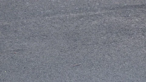 Slow motion of a leaf on the asphalt - 4K - ProRes Stock Footage 162688899