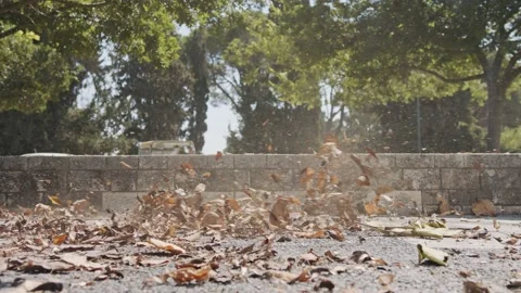 Slow motion of a leaf blower used to clean leaves in a yard Stock Footage 139574702